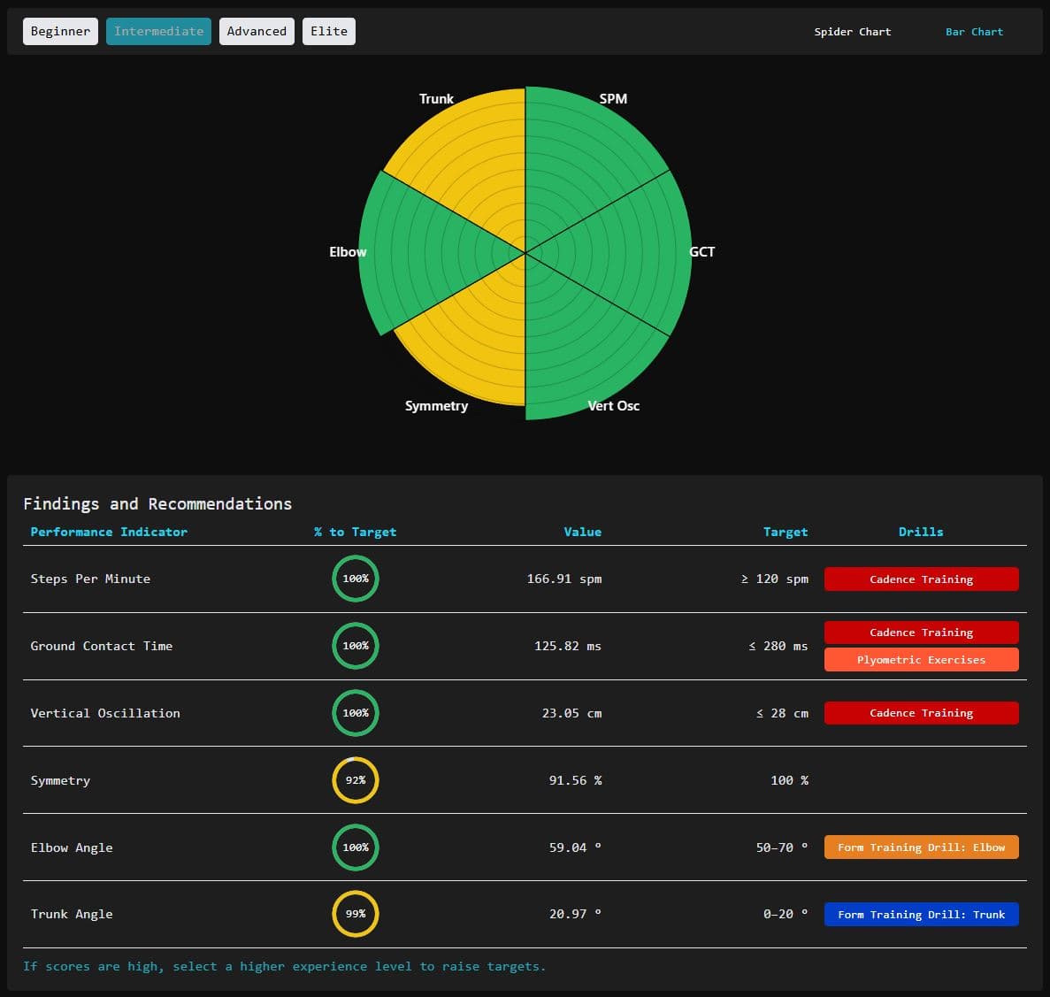 Example of Runalyzer analysis interface